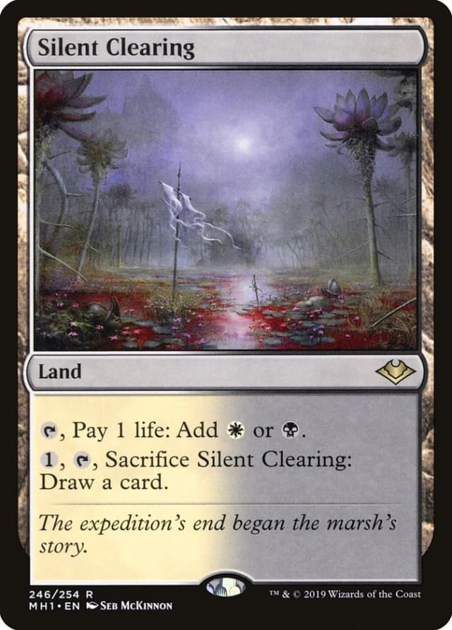 Silent Clearing image