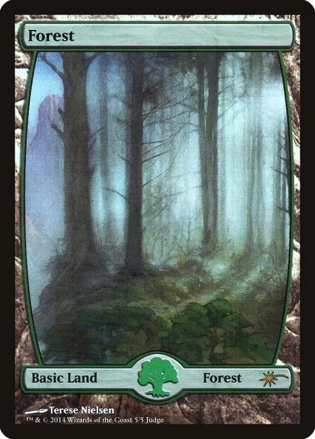 Forest image