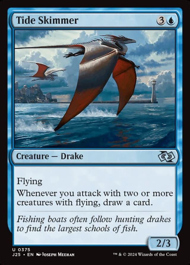 Tide Skimmer image