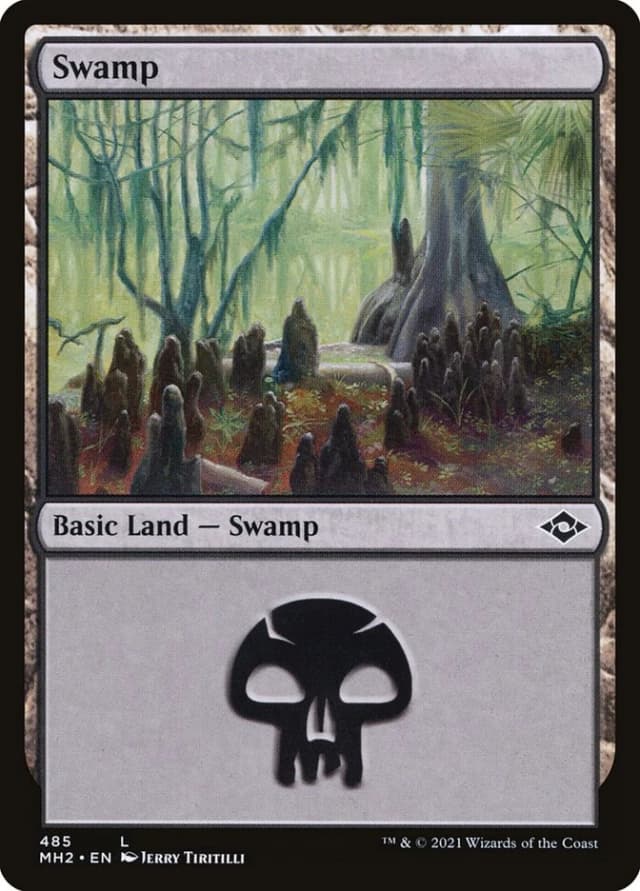 Swamp image