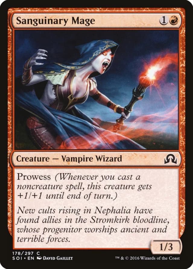 Sanguinary Mage image
