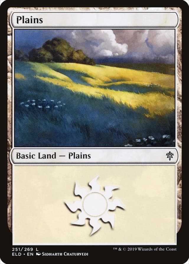 Plains image