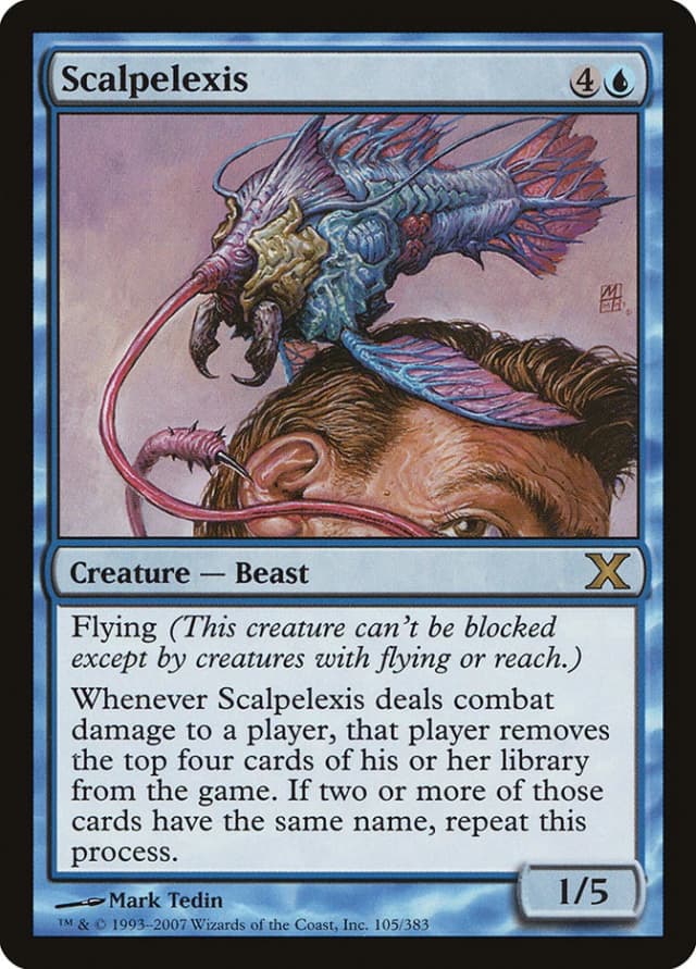 Scalpelexis image