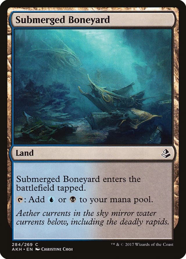 Submerged Boneyard image