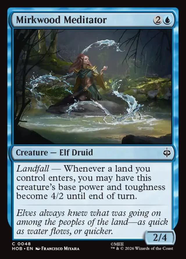 Mirkwood Meditator image