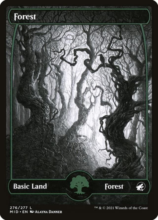 Forest image