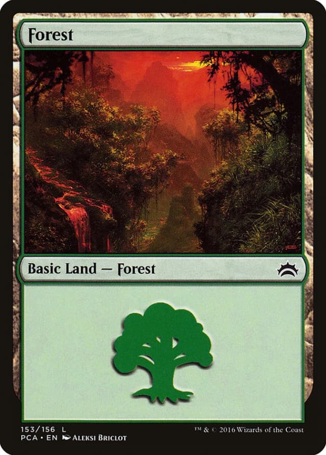 Forest image