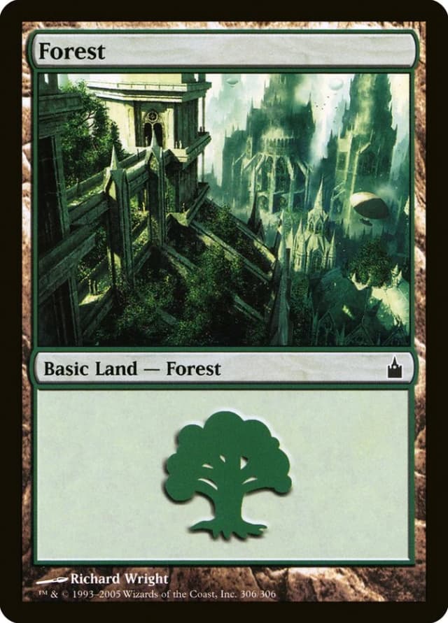 Forest image