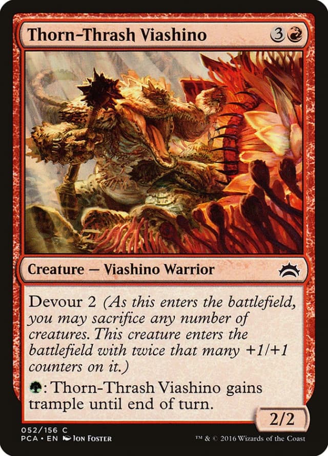 Thorn-Thrash Viashino image
