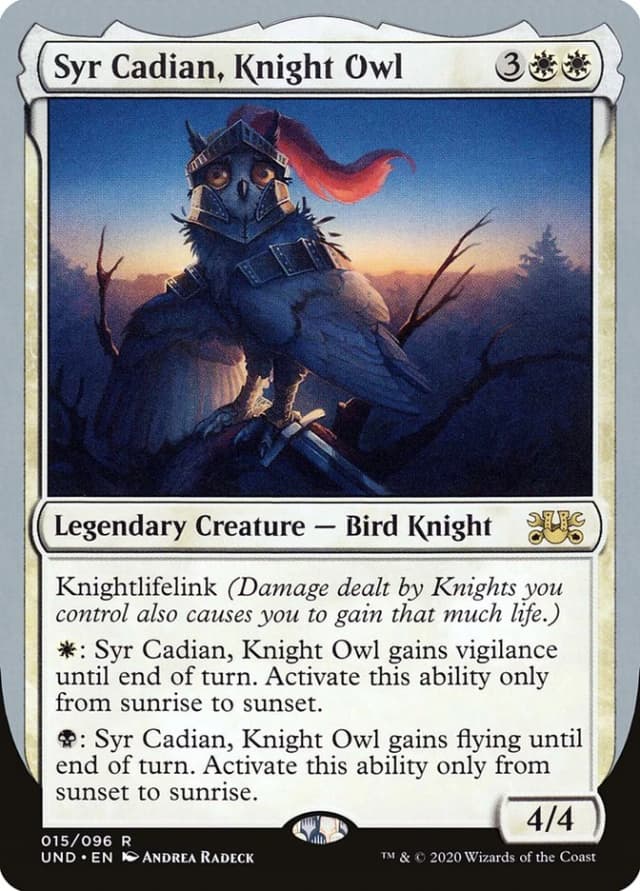 Syr Cadian, Knight Owl image
