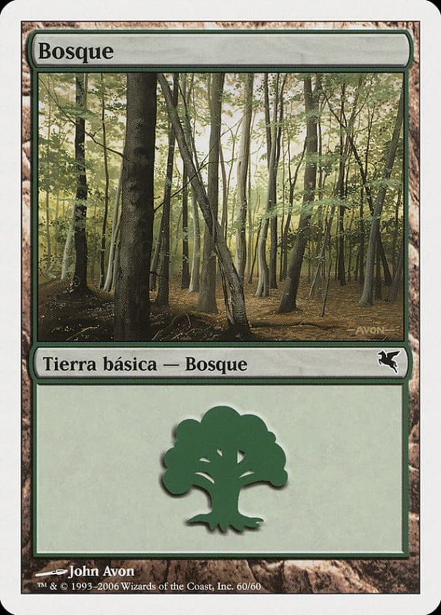 Forest image