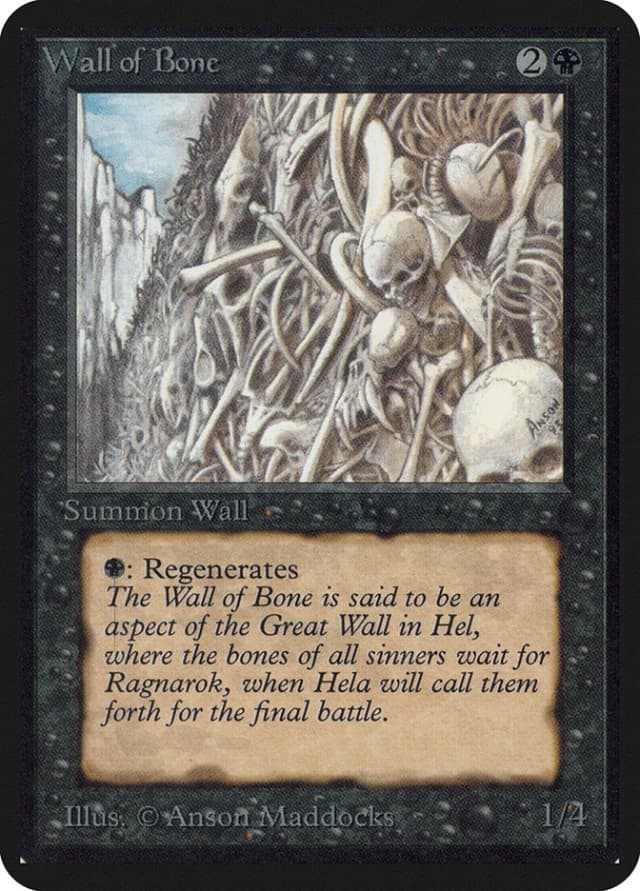 Wall of Bone image