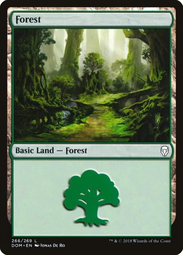 Forest image