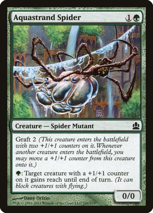 Aquastrand Spider image