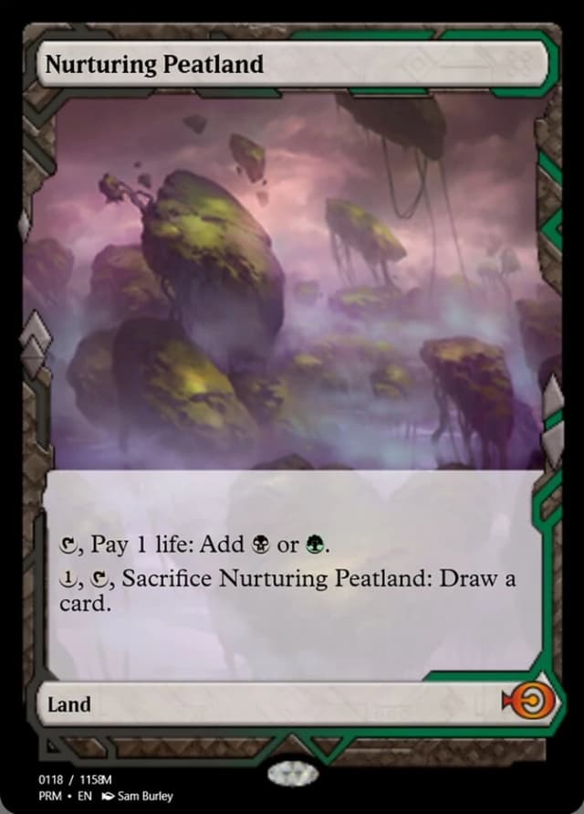 Nurturing Peatland image