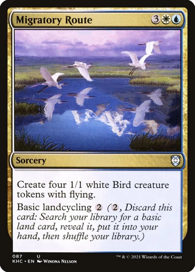 Migratory Route image