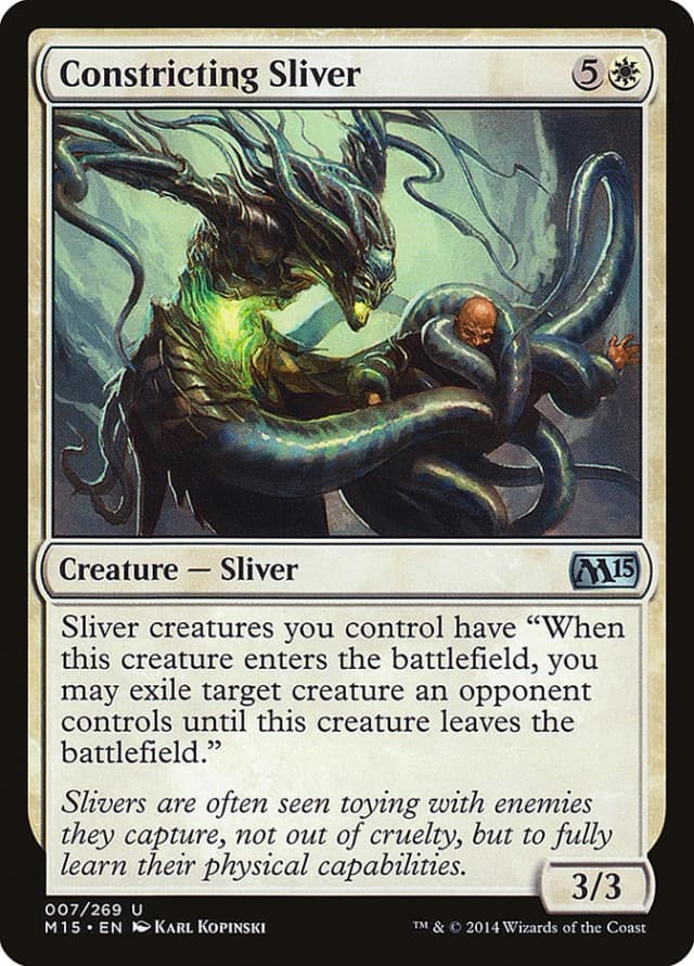 Constricting Sliver image