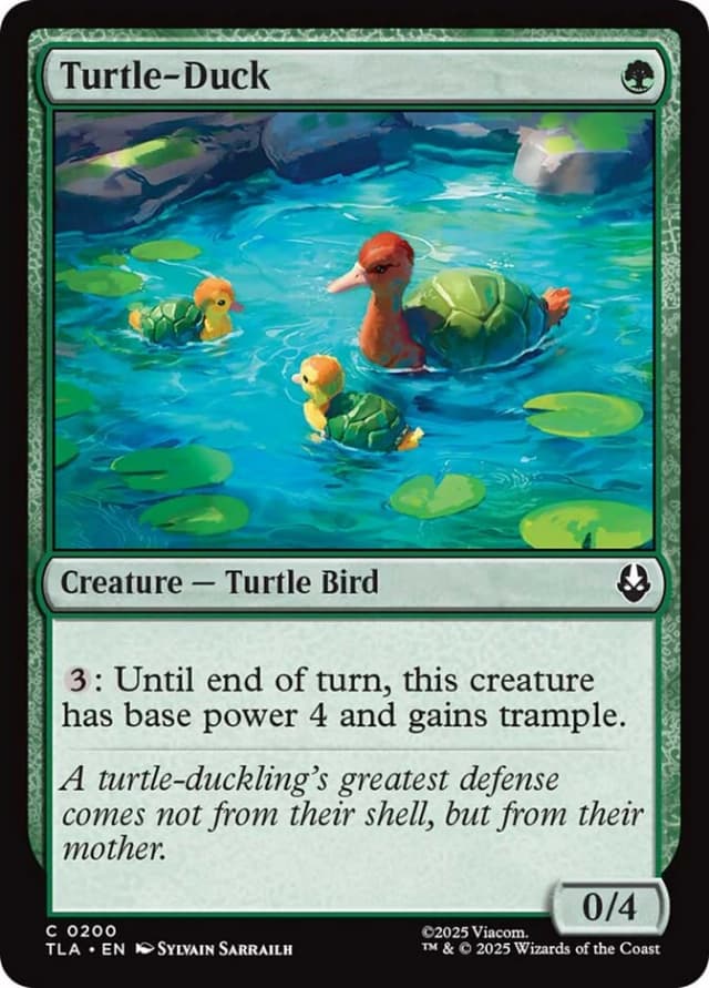 Turtle-Duck image