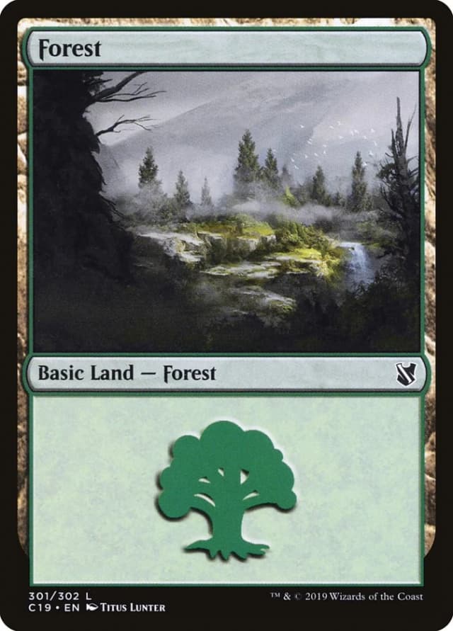 Forest image