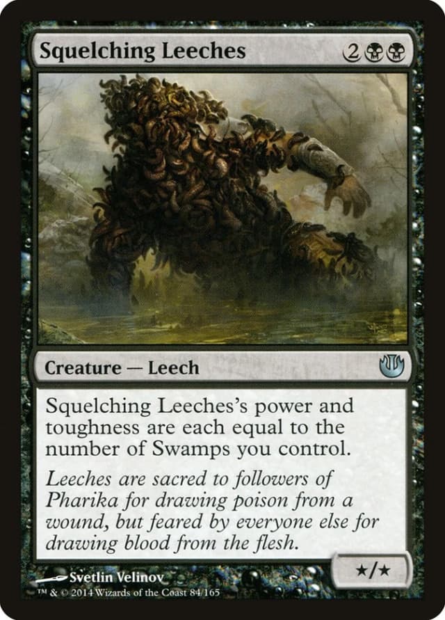 Squelching Leeches image