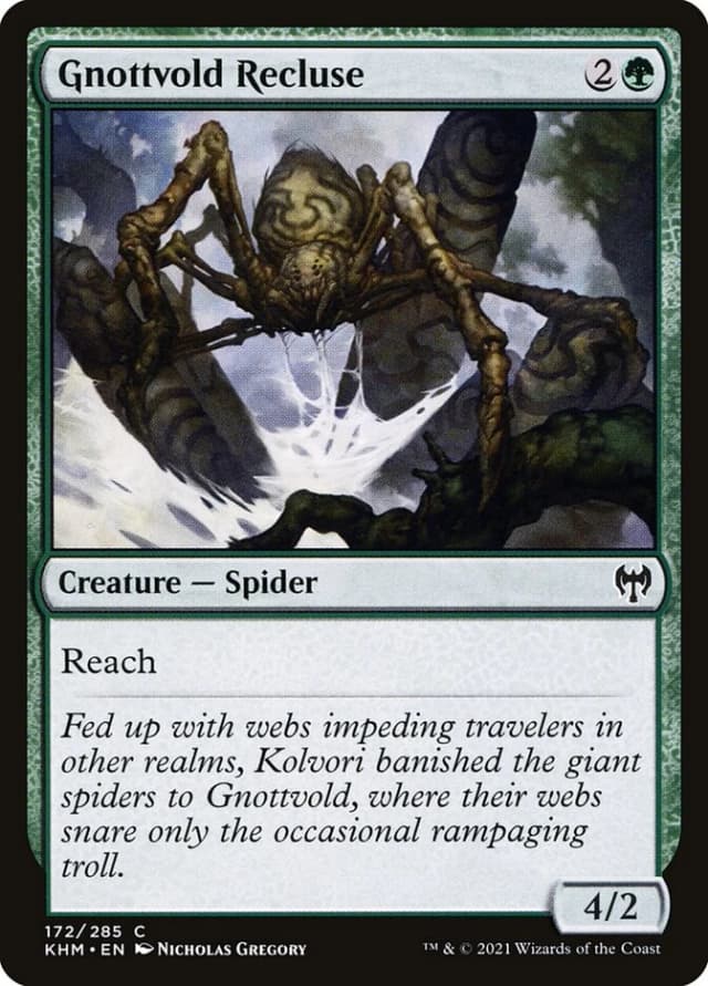 Gnottvold Recluse image