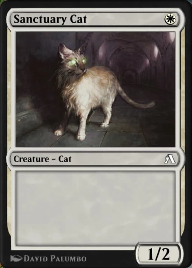 Sanctuary Cat image