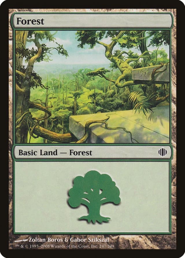 Forest image