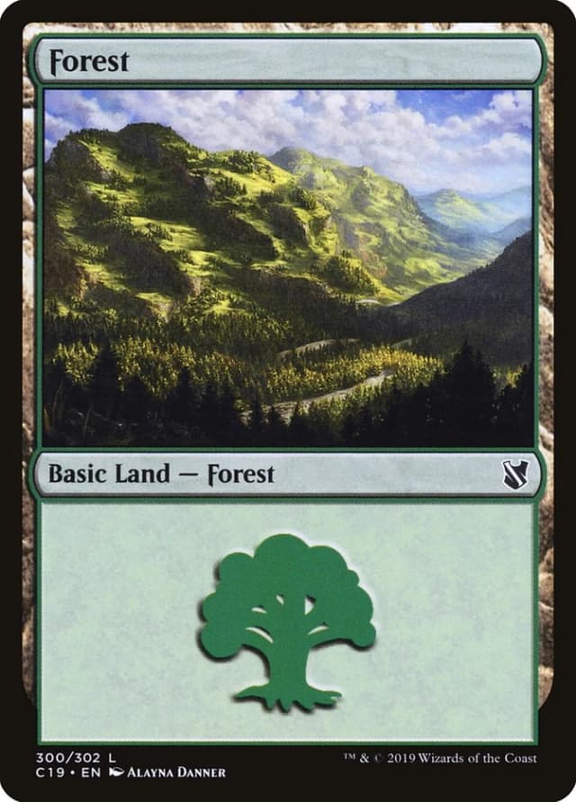 Forest image
