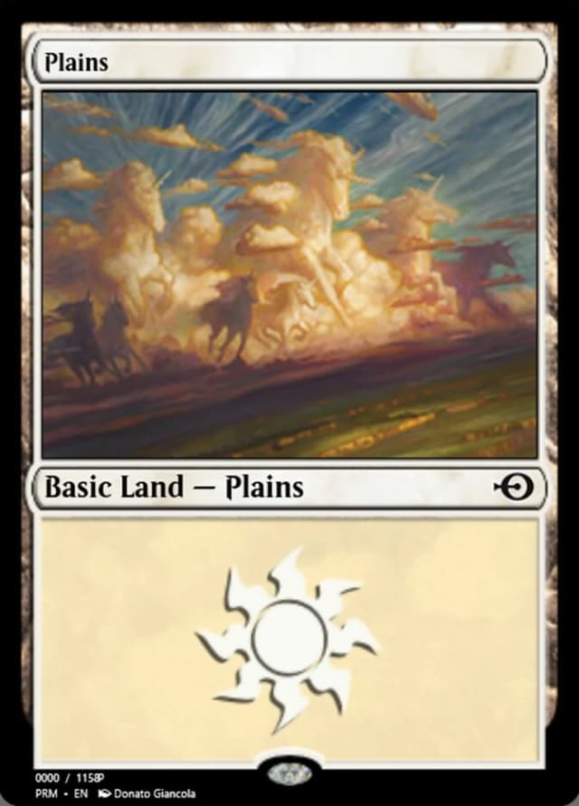 Plains image