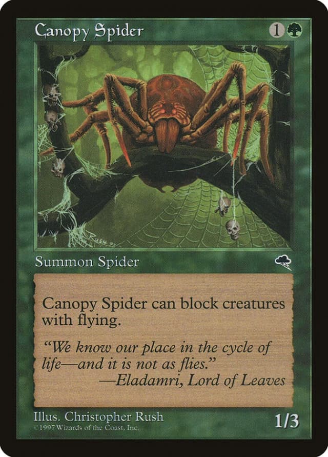 Canopy Spider image