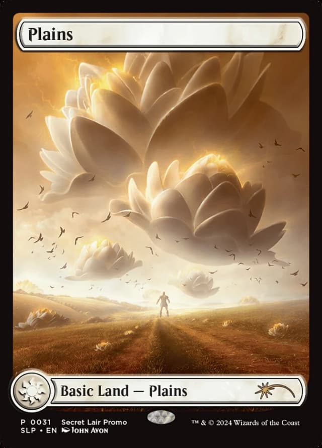 Plains image