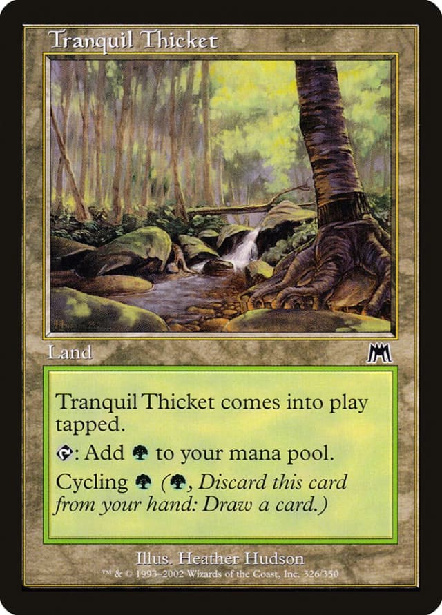 Tranquil Thicket image