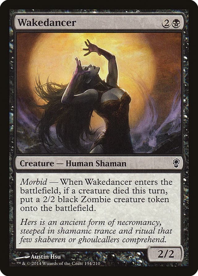 Wakedancer image