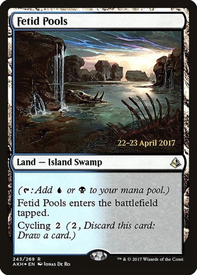 Fetid Pools image