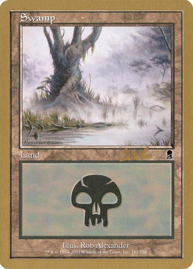 Swamp image