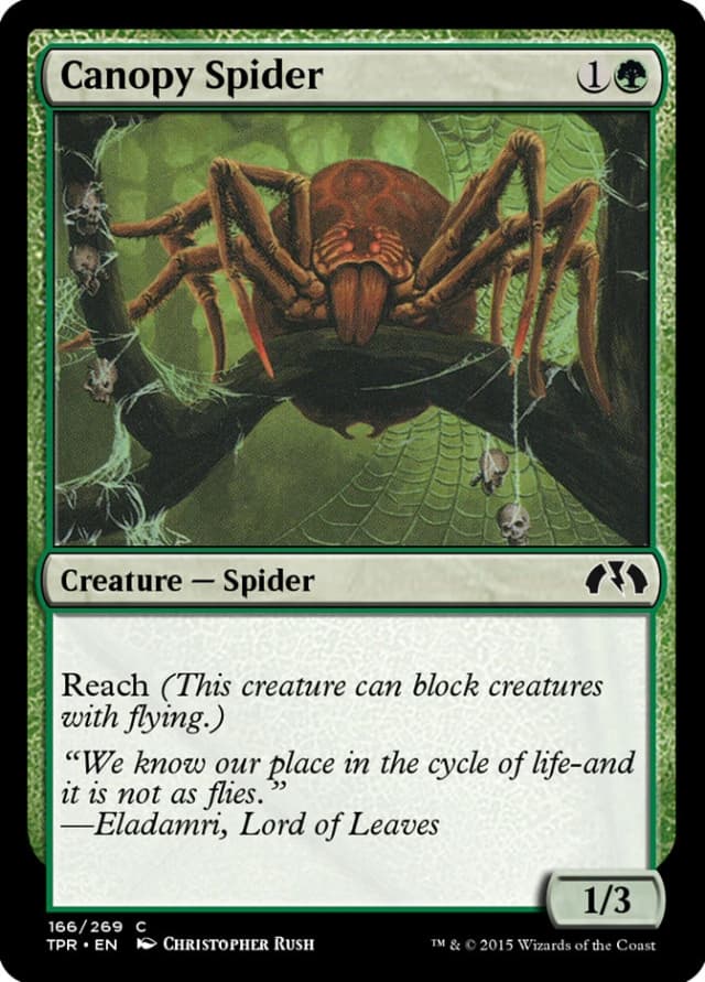 Canopy Spider image