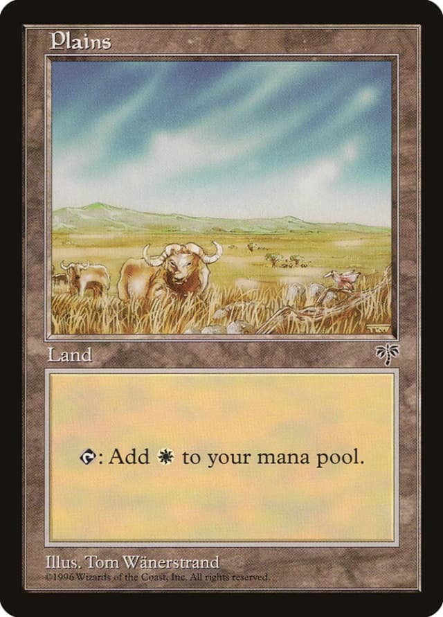 Plains image