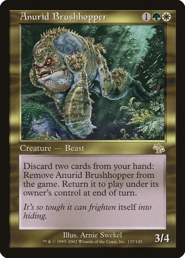 Anurid Brushhopper image