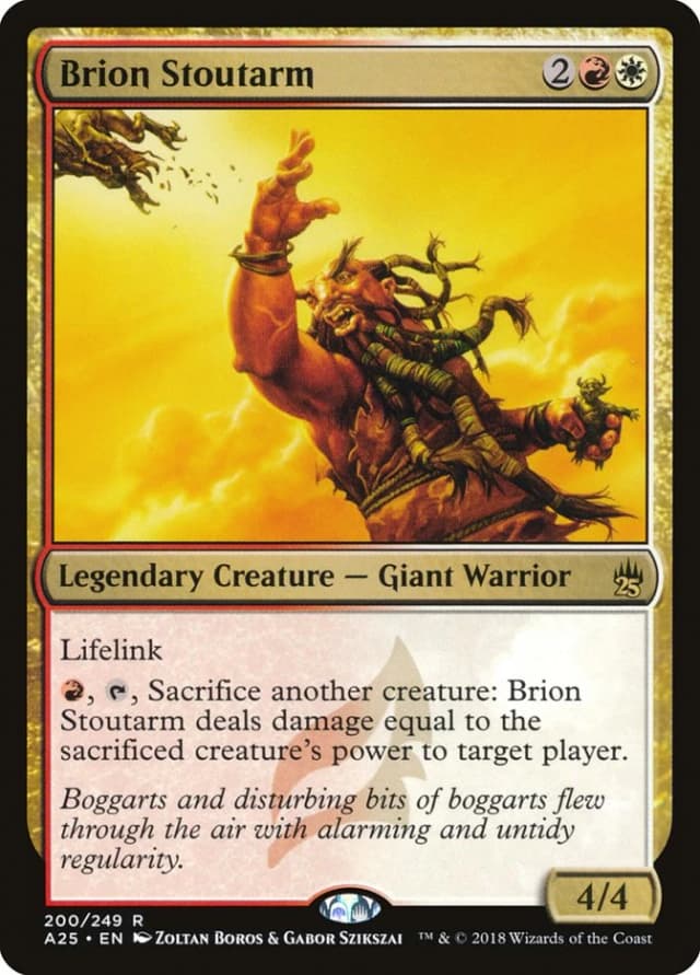 Brion Stoutarm image