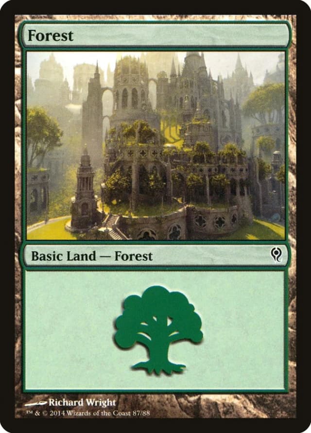 Forest image