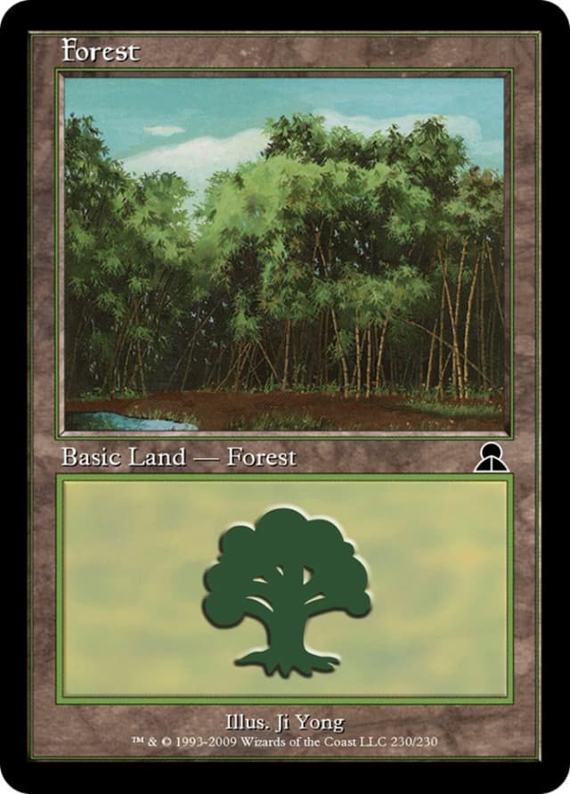 Forest image