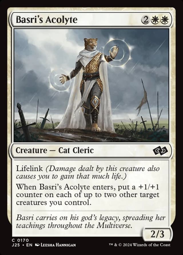 Basri's Acolyte image