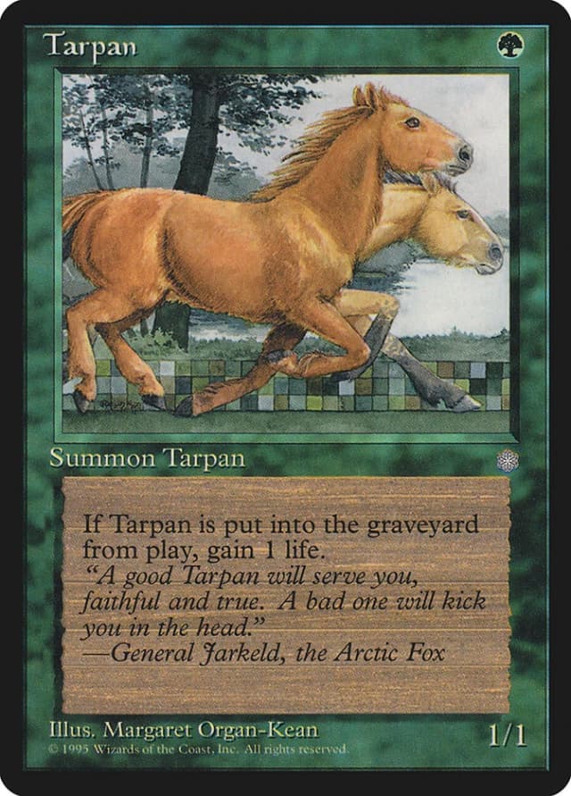 Tarpan image