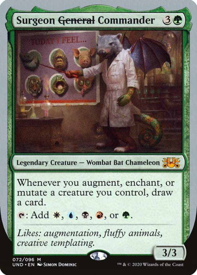 Surgeon General Commander image