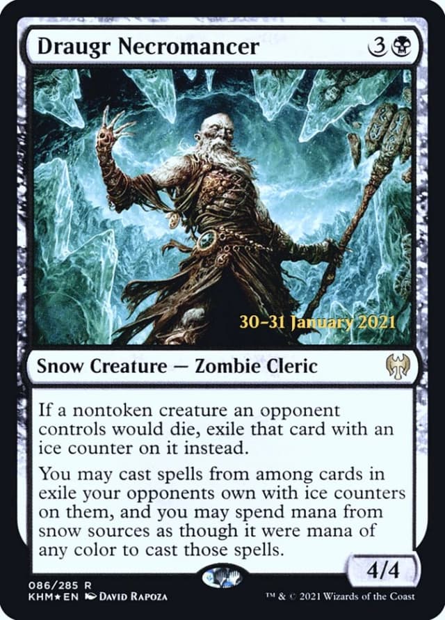Draugr Necromancer image