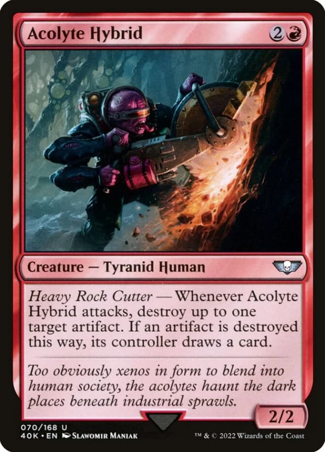 Acolyte Hybrid image