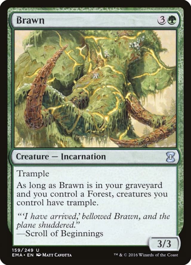 Brawn image
