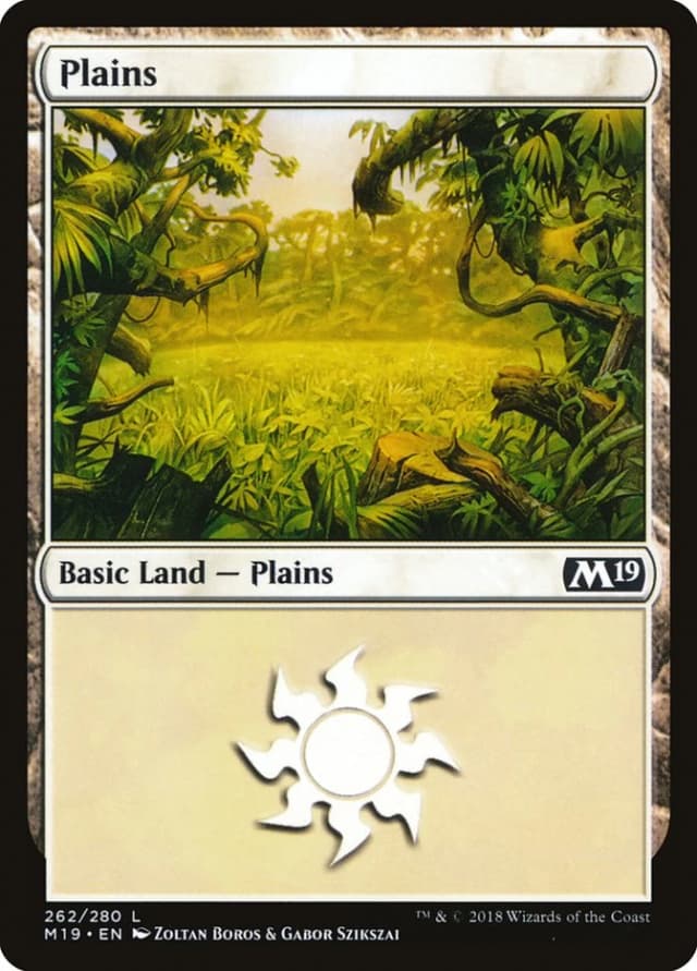 Plains image