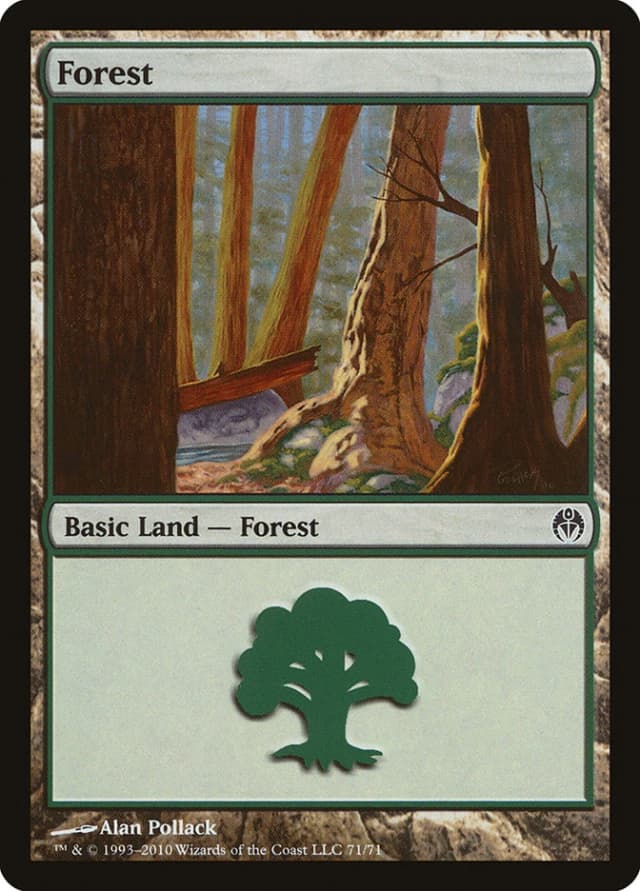 Forest image