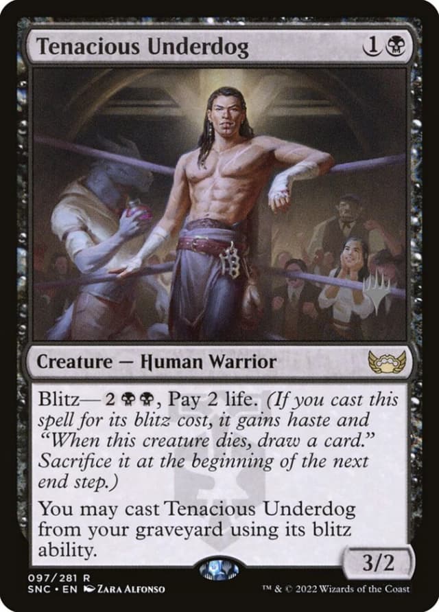 Tenacious Underdog image